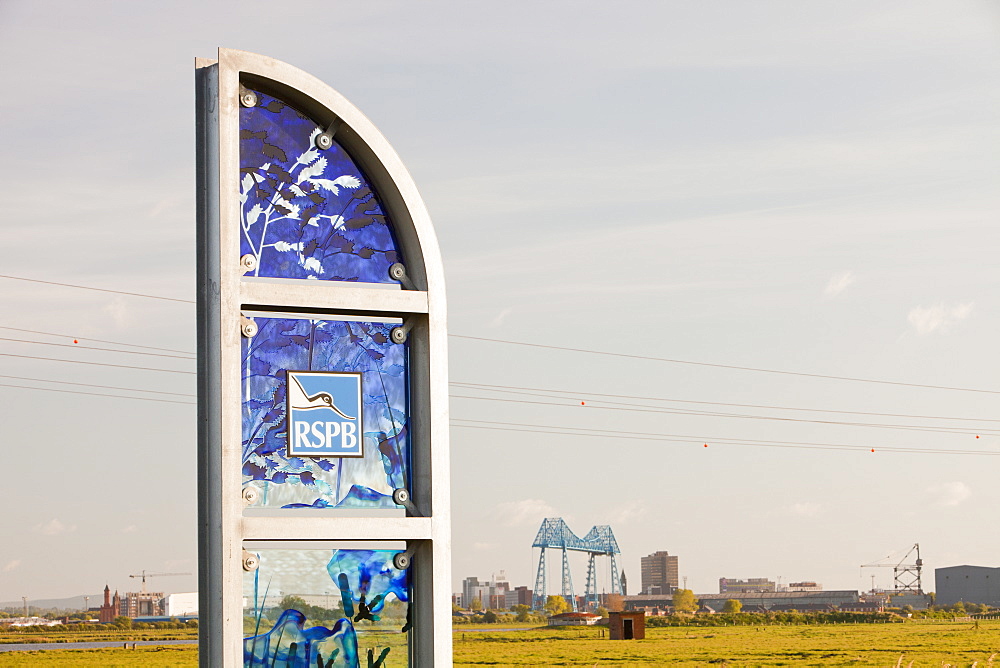 Salthome RSPB bird reserve in Billingham, with the Middlesbrough Transporter Bridge in the background, Teesside, England, United Kingdom, Europe