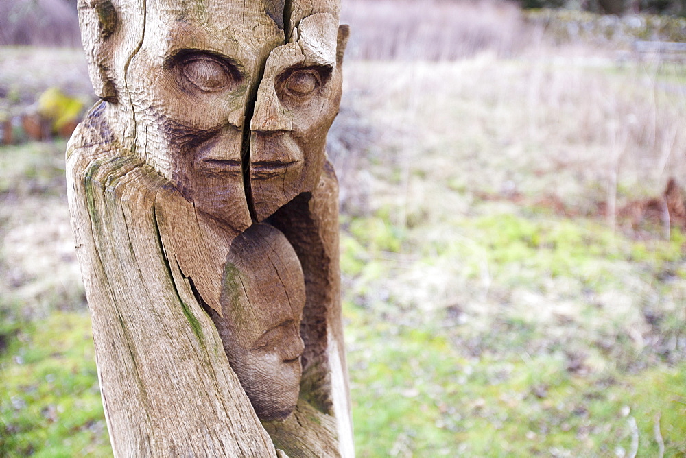 The Frank Bruce Sculpture trail at Feshiebridge, Cairngorm, Scotland, United Kingdom, Europe