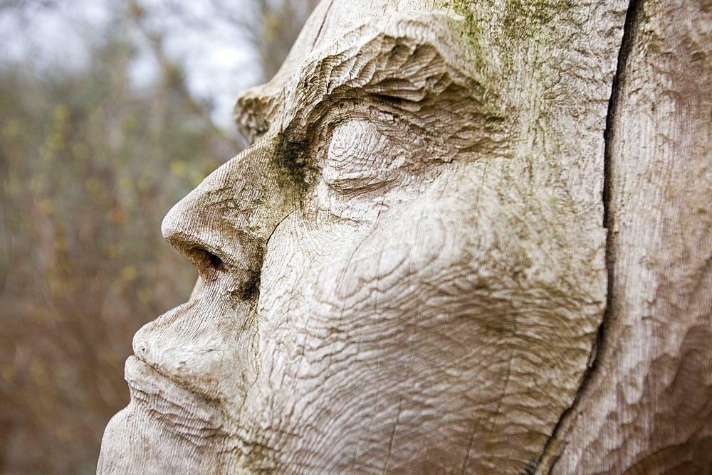 The Frank Bruce Sculpture trail at Feshiebridge, Cairngorm, Scotland, United Kingdom, Europe