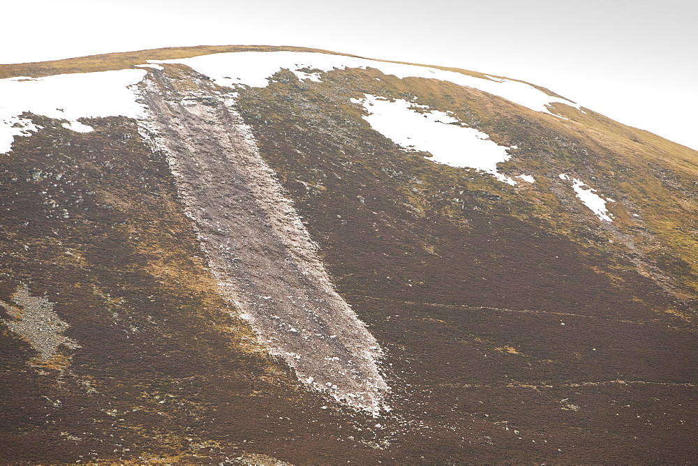 Avalanche debris on a hill off Drumochter Pass, Scotland, United Kingdom, Europe