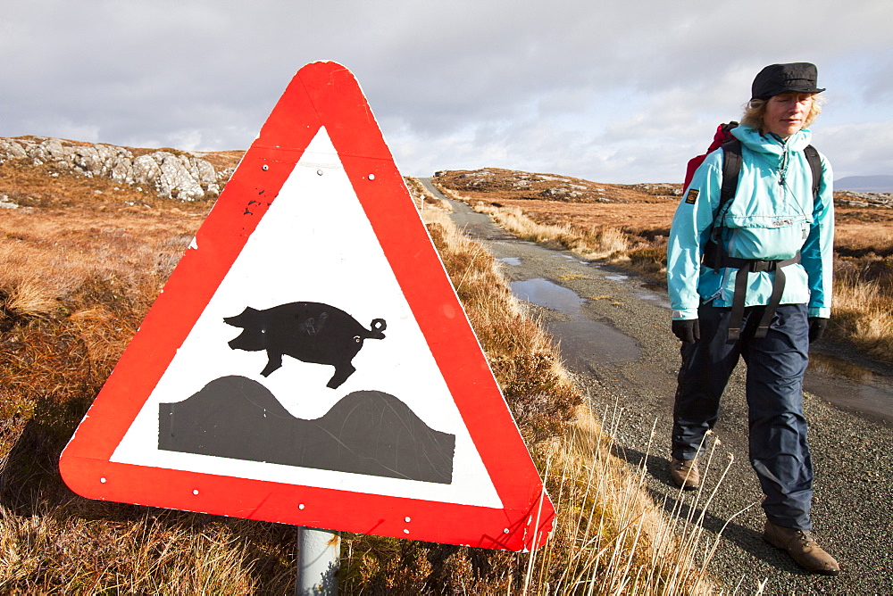 Sign warning of free-range pigs, Calums Road, built by Malcolm Macleod, Arnish, Isle of Raasay, Scotland, United Kingdom, Europe