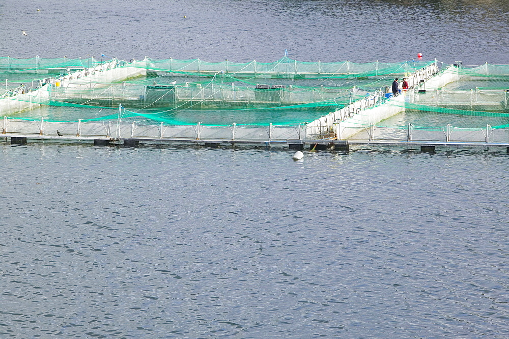 Salmon farm at Drumbeg in Assynt, Sutherland, Highlands, Scotland, United Kingdom, Europe