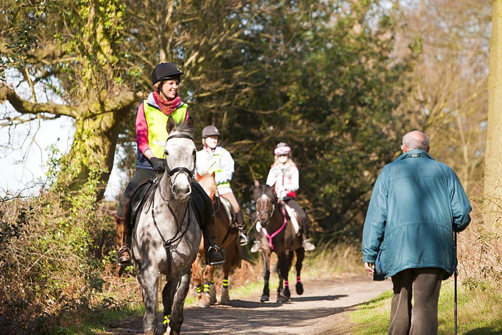 Horse trekking and walking near Woodhouse Eaves in Leicestershire, England, United Kingdom, Europe