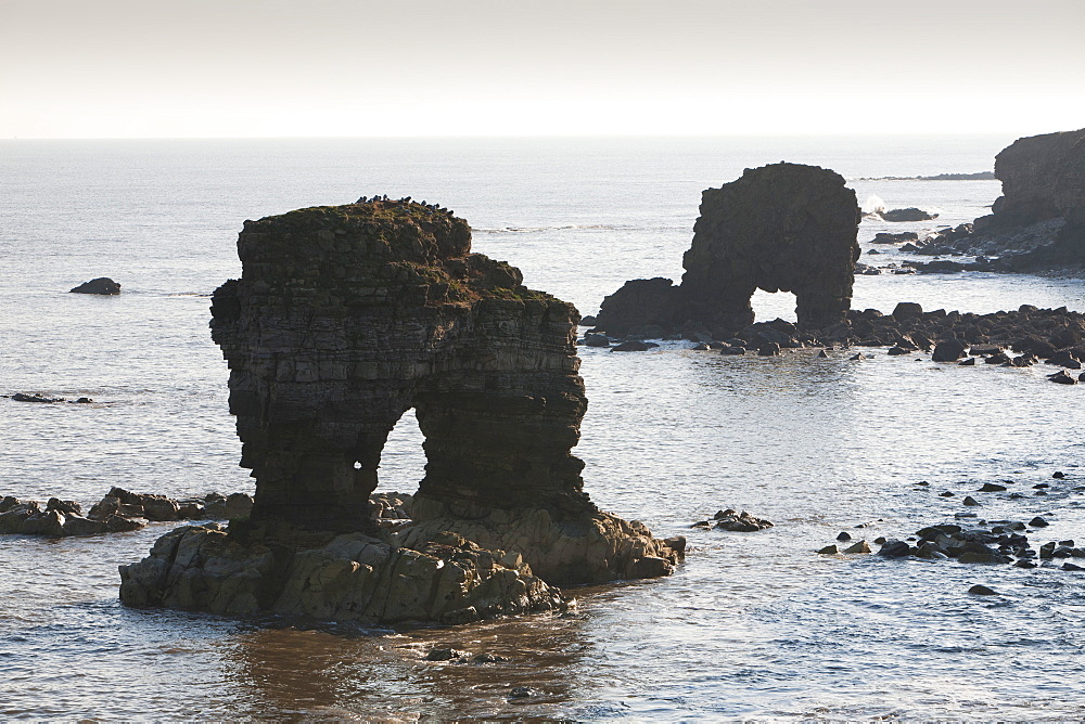 Sea stacks and sea arch on the North East coast at Whitburn, between Newcastle and Sunderland, Tyne and Wear, England, United Kingdom, Europe