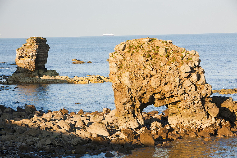 Sea stacks and sea arch on the North East coast at Whitburn, between Newcastle and Sunderland, Tyne and Wear, England, United Kingdom, Europe