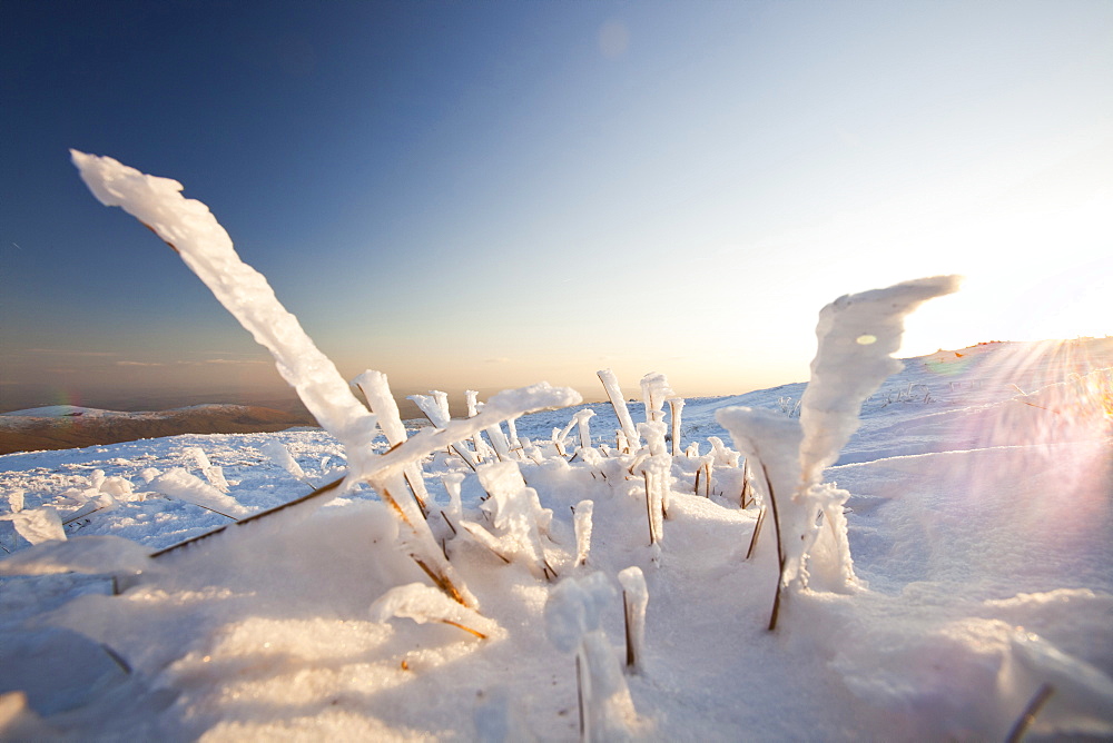 Hoar frost on grass on Red Screes in the Lake District, Cumbria, England, United Kingdom, Europe