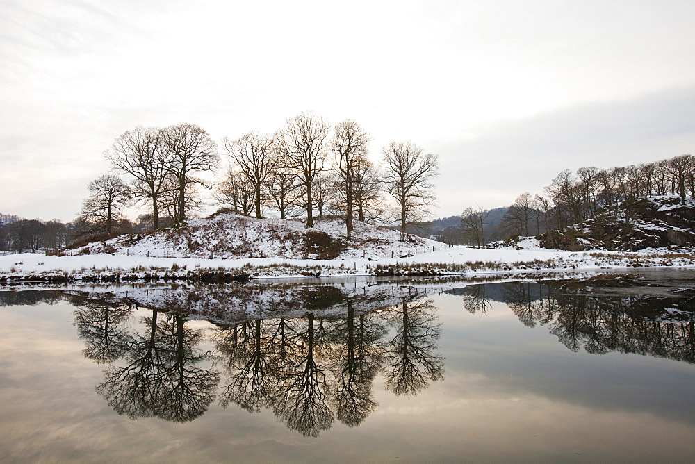 Trees reflected in the River Brathay near Elterwater in the Lake District National Park, Cumbria, England, United Kingdom, Europe