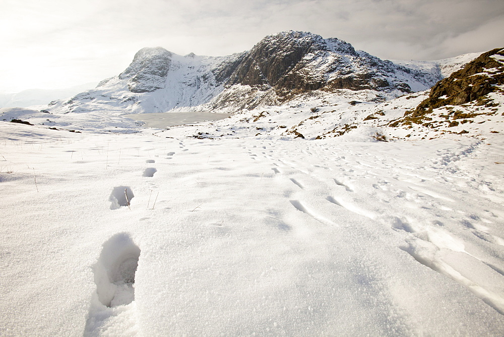 Footsteps in the snow above Stickle Tarn, looking towards Pavey Ark in the Langdale Valley, Lake District, England, England, United Kingdom, Europe