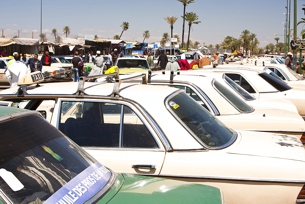 Mercedes taxis in Marrakech, Morocco, North Africa, Africa