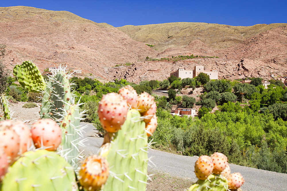 The Tin Mal mosque, built in 1156 in Tin Mal (Tinmel) in the Atlas mountains of Morocco, North Africa, Africa