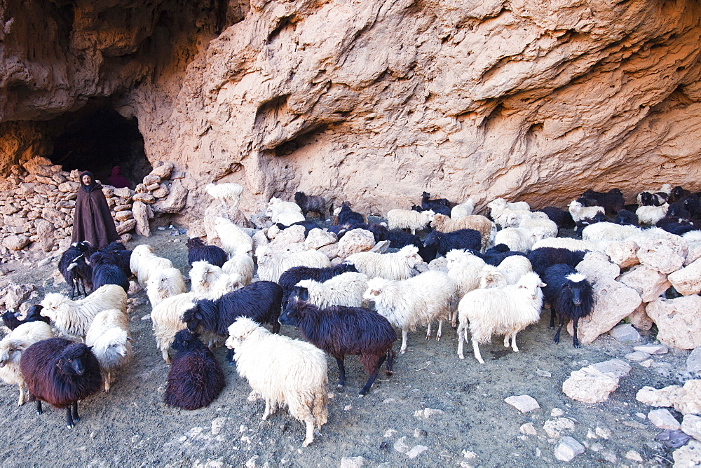 Berber shepherd in cave shelter for goats and sheep in the Anti Atlas mountains of Morocco, North Africa, Africa