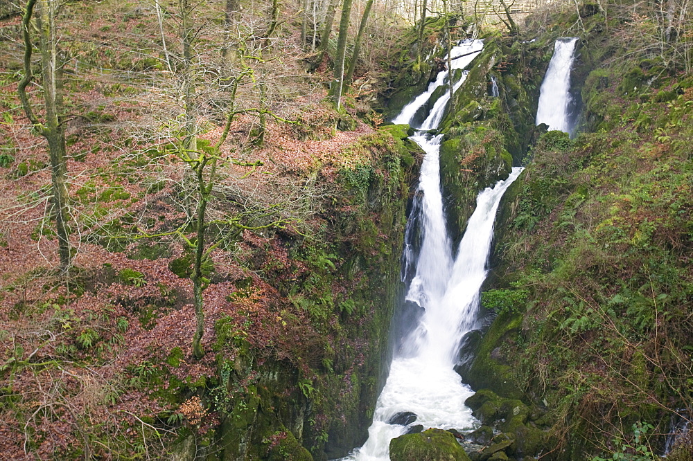 Stock Ghyll in autumn near Ambleside, Lake District, Cumbria, England, United Kingdom, Europe