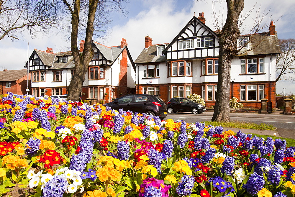 Spring flower bed in front of expensive detached houses in Carlisle, Cumbria, England, United Kingdom, Europe