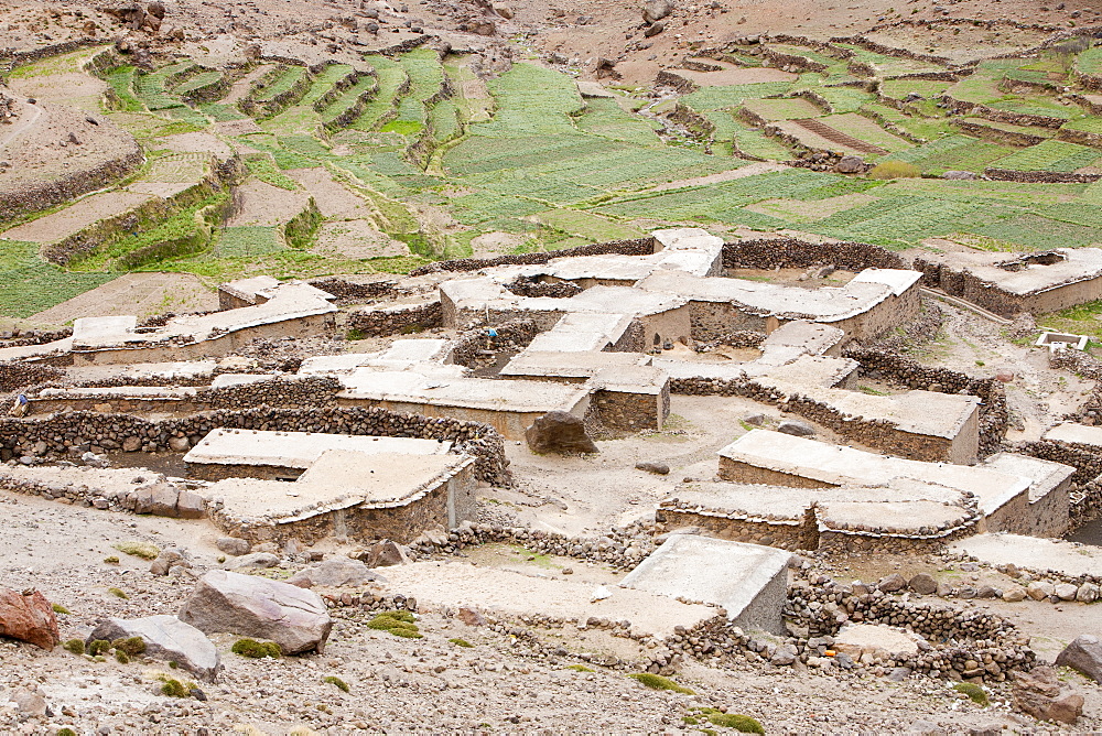 Field terraces by a Berber village in the Anti Atlas mountains of Morocco, North Africa, Africa