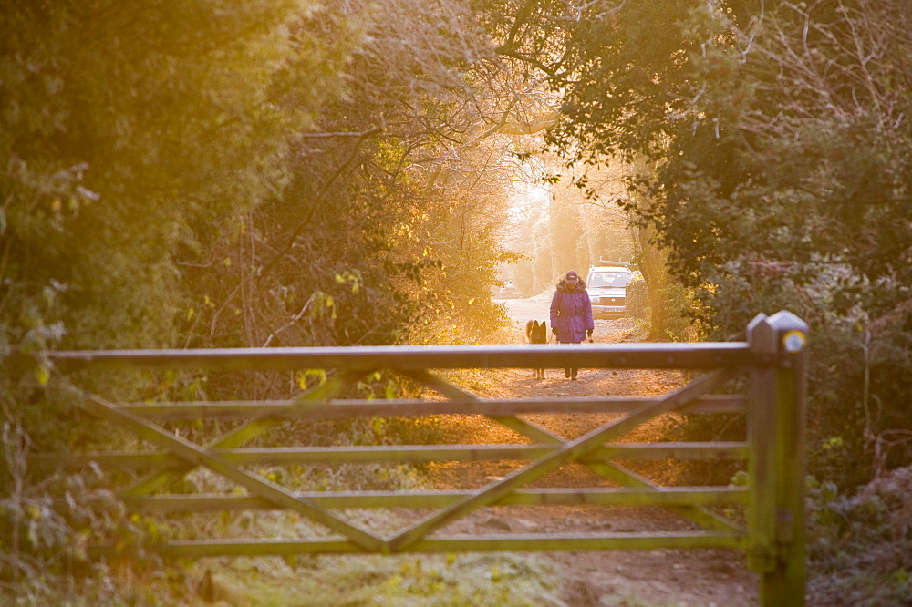 Dawn light on a country lane in winter near Loughborough, Leicesershire, England, United Kingdom, Europe