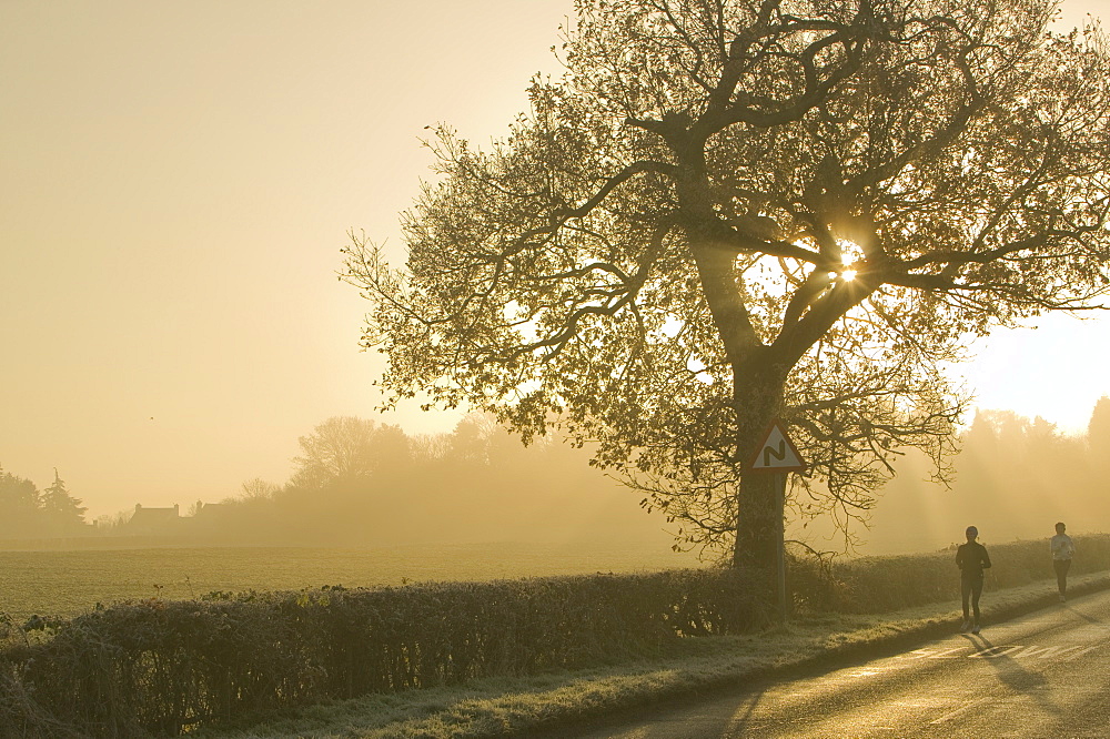 Joggers out in the early morning near Loughborough, Leicesershire, England, United Kingdom, Europe