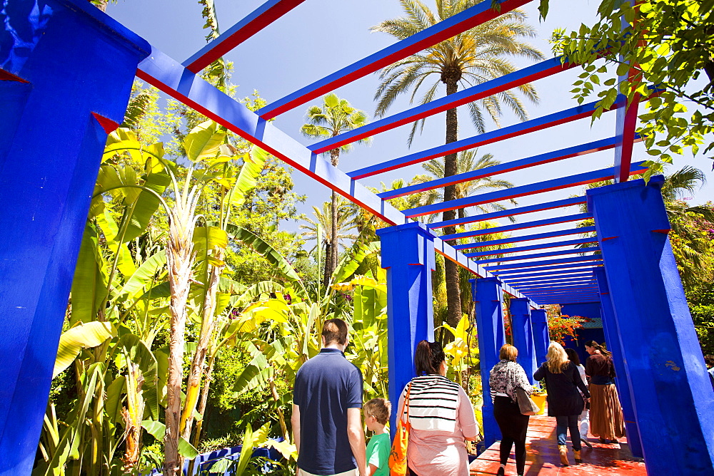 The Marjorelle Gardens in Marrakech, Morocco, North Africa, Africa