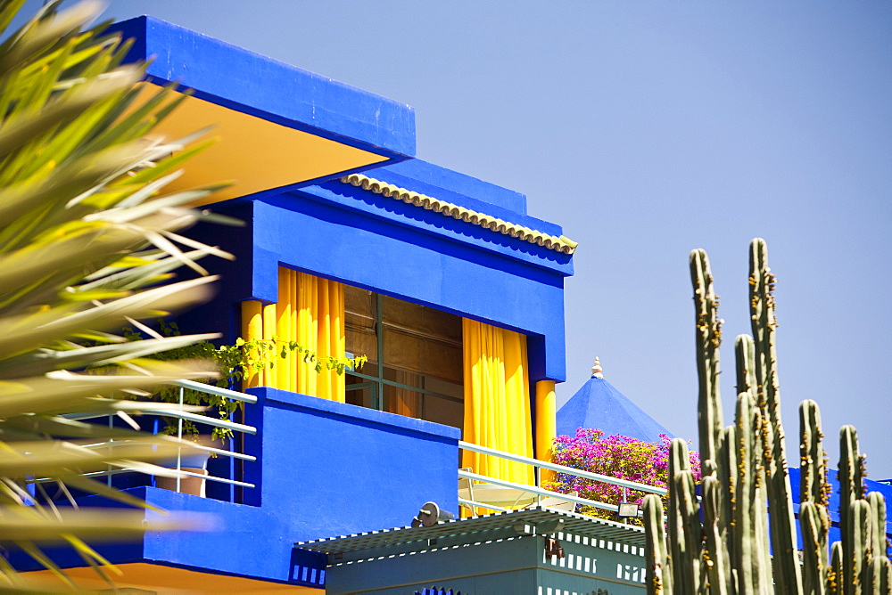 The Marjorelle Gardens in Marrakech, Morocco, North Africa, Africa