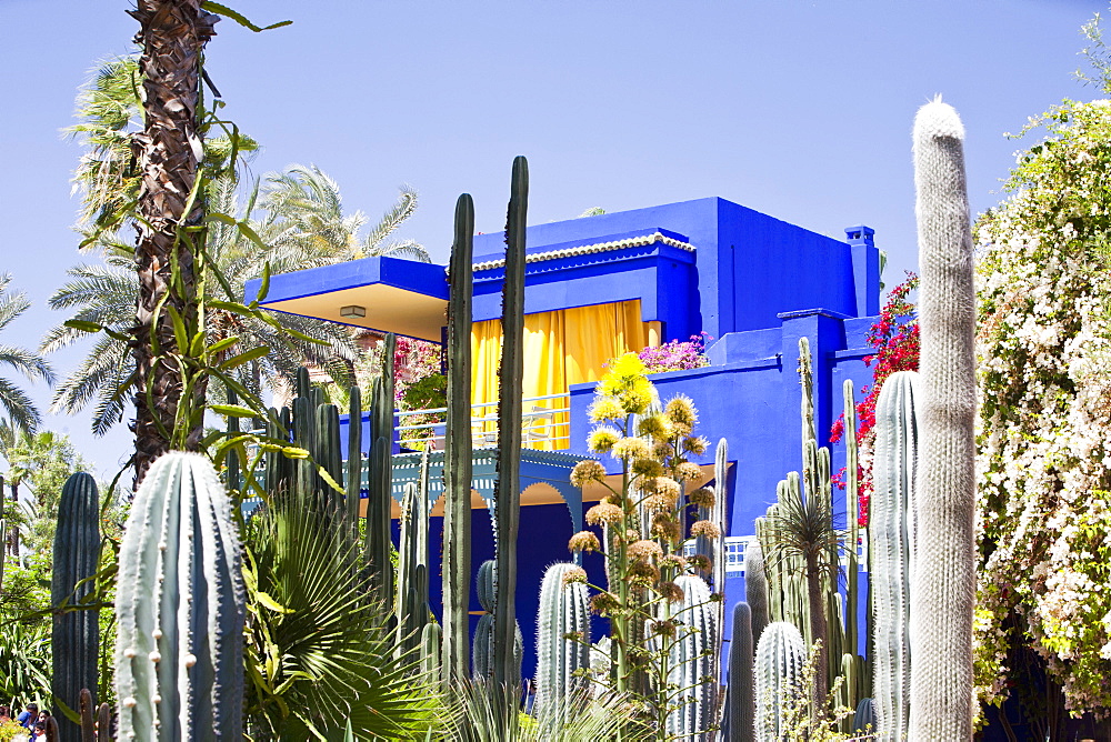 The Marjorelle Gardens in Marrakech, Morocco, North Africa, Africa