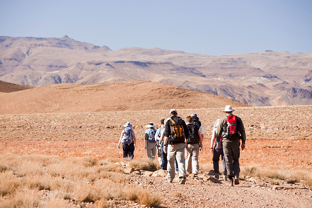 Trekkers in the Jebel Sirwa region of the Anti Atlas mountains, Morocco, North Africa, Africa.