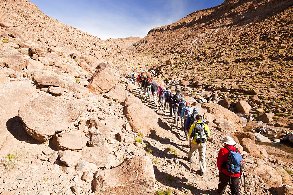 Trekkers in the Jebel Sirwa region of the Anti Atlas mountains, Morocco, North Africa, Africa.