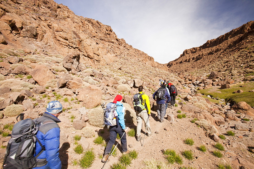 Trekkers in the Jebel Sirwa region of the Anti Atlas mountains, Morocco, North Africa, Africa.