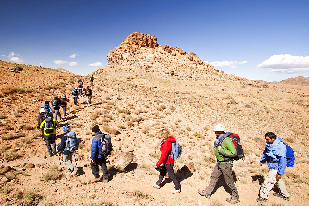 Trekkers in the Jebel Sirwa region of the Anti Atlas mountains, Morocco, North Africa, Africa.