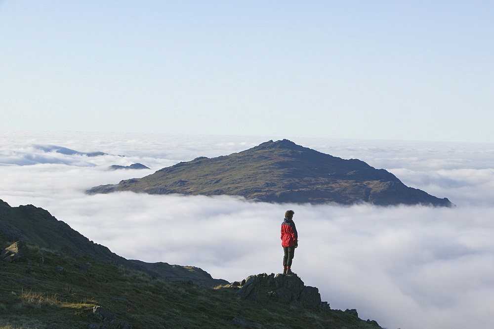 A women walker above the cloud looking towards Harter Fell in the Lake District National Park, Cumbria, England, United Kingdom, Europe