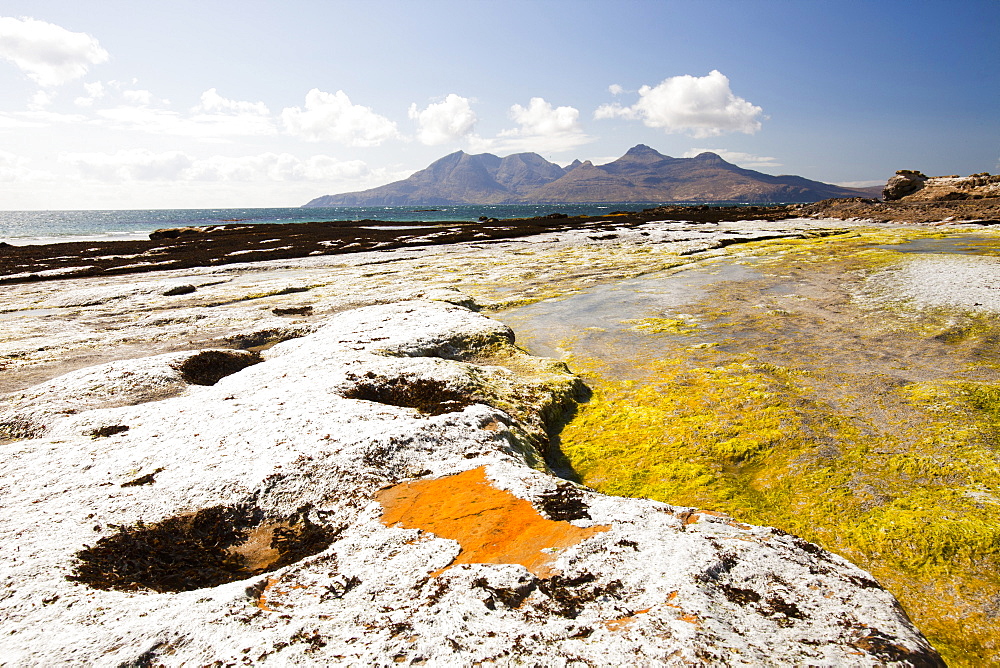 Rock formations and seaweed at the Bay of Laig at Cleadale on the Isle of Eigg, looking towards the Isle of Rhum, Scotland, United Kingdom, Europe