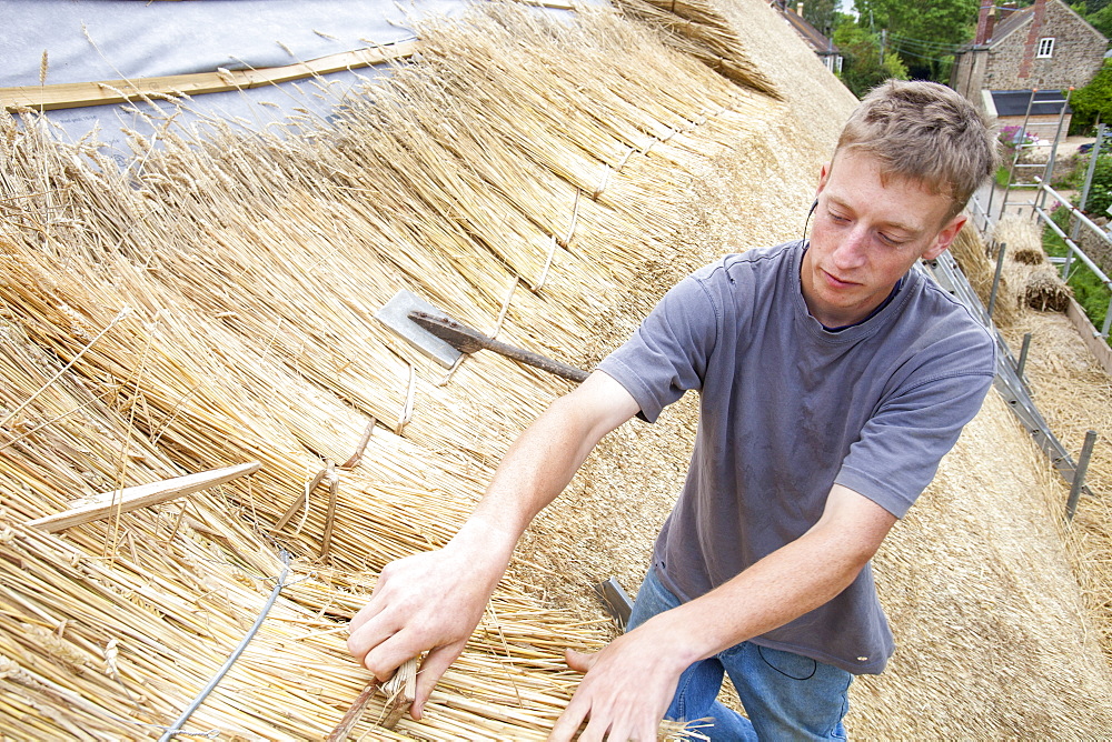 An old barn being re-thatched in the Dorset village of Symondsbury, Dorset, England, United Kingdom, Europe