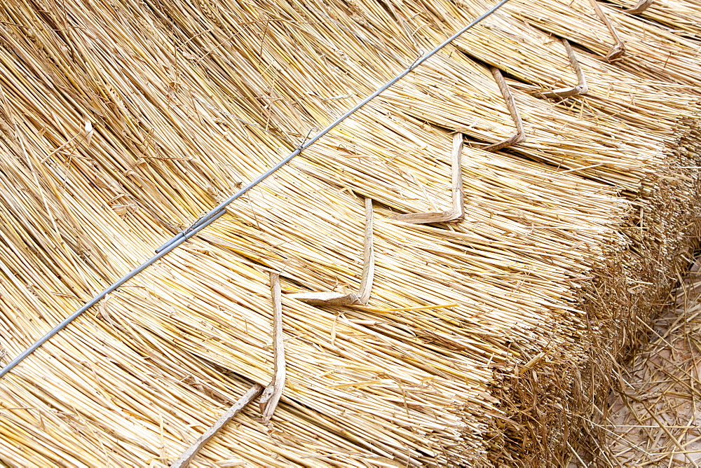 An old barn being re-thatched in the Dorset village of Symondsbury, Dorset, England, United Kingdom, Europe