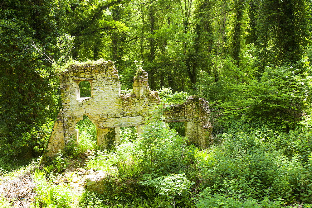 An old cottage in a wooded section of the undercliff, between Seaton and Lyme Regis, Dorset, England, United Kingdom, Europe