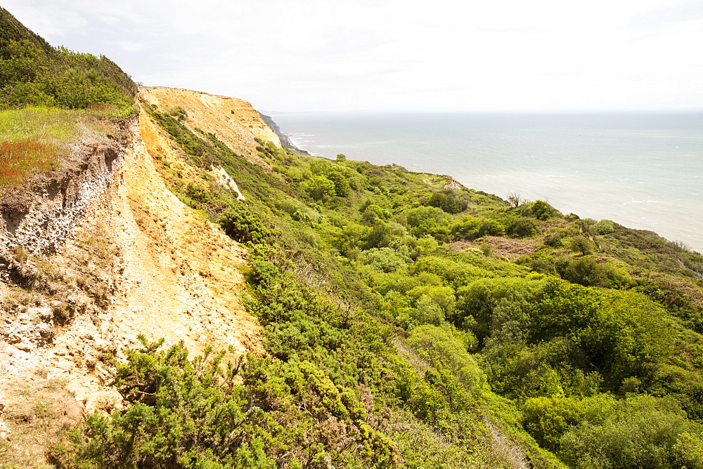 A landslip on the South West Coast Path at Charmouth, Jurassic Coast, UNESCO World Heritage Site, Dorset, England, United Kingdom, Europe