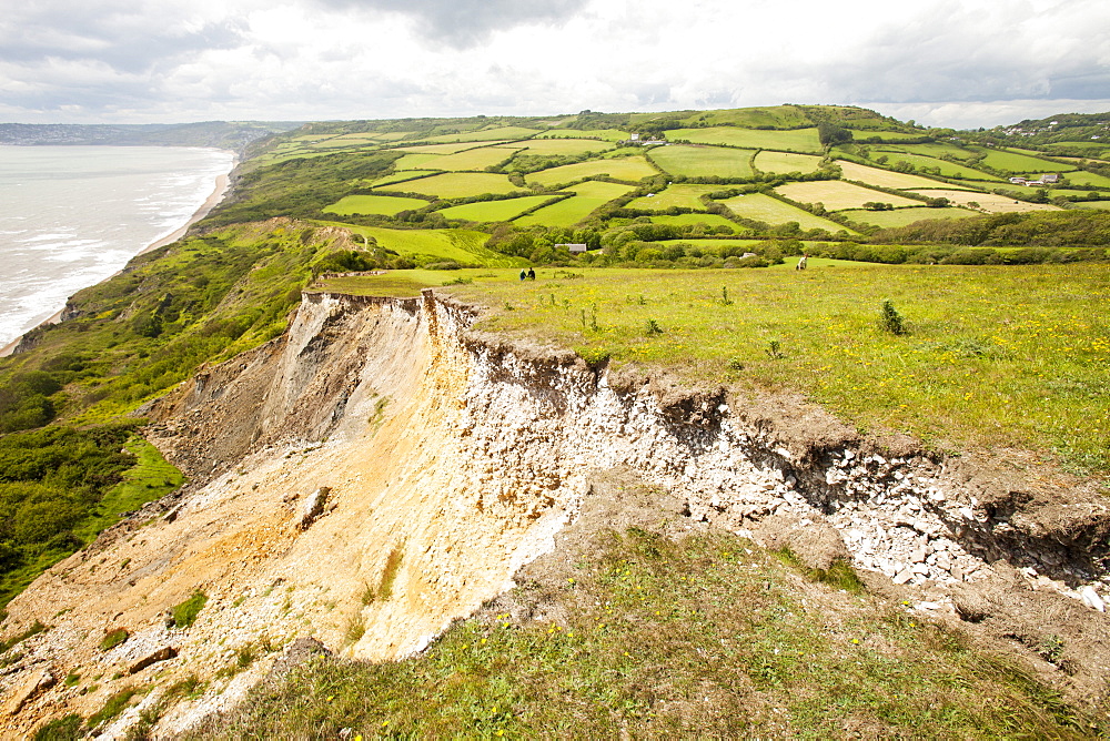 A tear in the ground showing where the next landslip will take place on the South West Coast Path near Charmouth, Jurassic Coast, UNESCO World Heritage Site, Dorset, England, United Kingdom, Europe