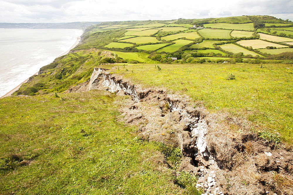 A tear in the ground showing where the next landslip will take place on the South West Coast Path near Charmouth, Jurassic Coast, UNESCO World Heritage Site, Dorset, England, United Kingdom, Europe