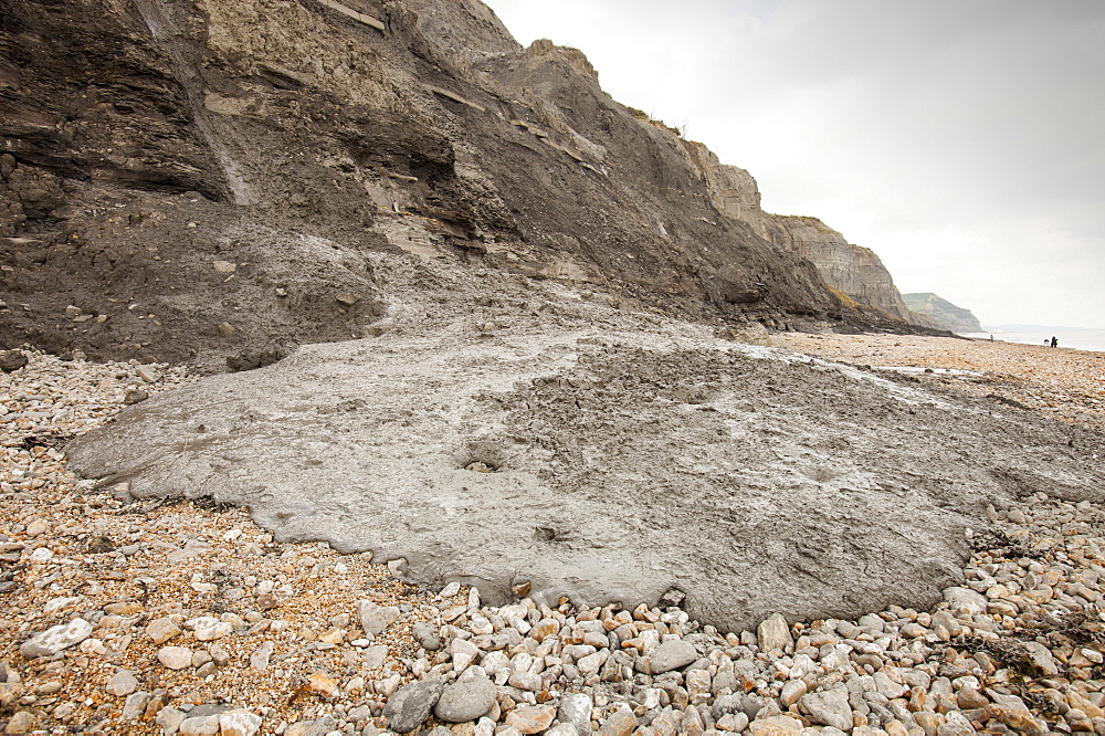 A landslip at Charmouth, Jurassic Coast, UNESCO World Heritage Site, Dorset, England, United Kingdom, Europe