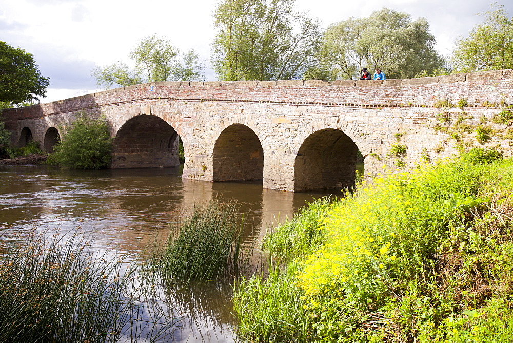 The old bridge across the River Avon in Pershore, Worcestershire, England, United Kingdom, Europe