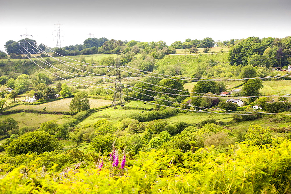 Fishpond Bottom, a beautiful village in the Dorset countryside with wonderful views to the coast, views that have been ruined by a high voltage power line crossing the valley, Fishpond Bottom, Dorset, England, United Kingdom, Europe