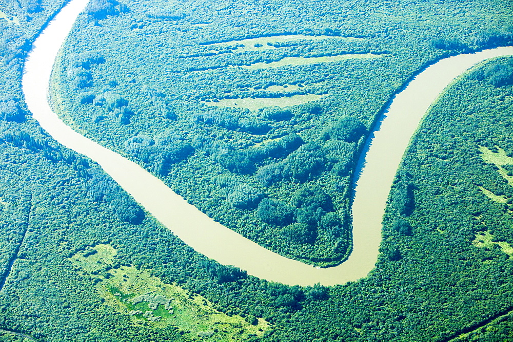 Boreal forest near Fort McMurray in Northern Alberta, Canada, North America