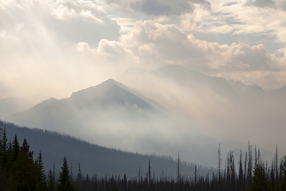 Boreal Forest burnt and a forest fire raging on Octopus Mountain in Kootenay National Park, UNESCO World Heritage Site, Alberta, Canadian Rockies, Canada, North America