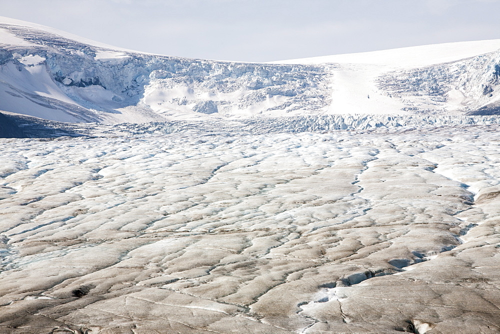 Meltwater channels on the Athabasca Glacier, Jasper National Park, UNESCO World Heritage Site, Alberta, Canadian Rockies, Canada, North America