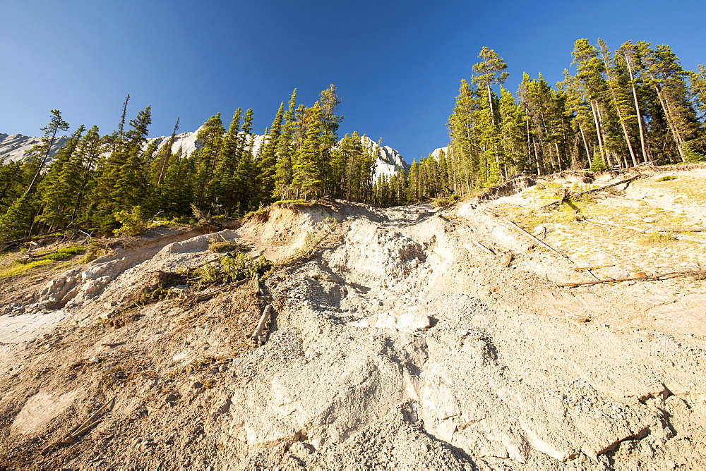 Damage from landslides caused by torrential rain near Maligne Lake, Jasper National Park, UNESCO World Heritage Site, Alberta, Canadian Rockies, Canada, North America