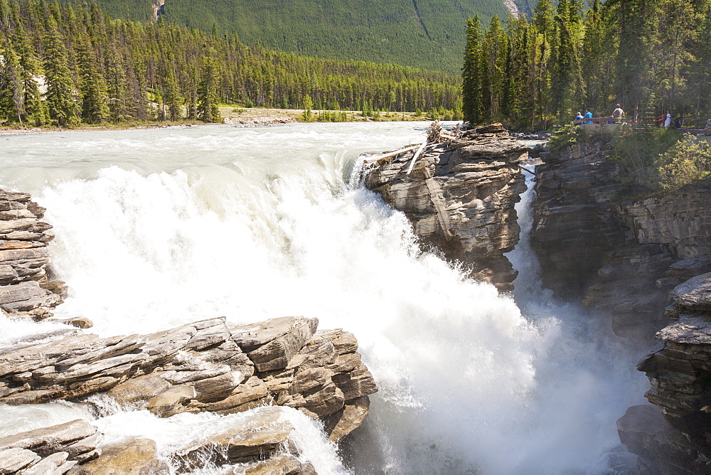 The Athabasca Falls in the Jasper National Park, UNESCO World Heritage Site, Alberta, Canadian Rockies, Canada, North America