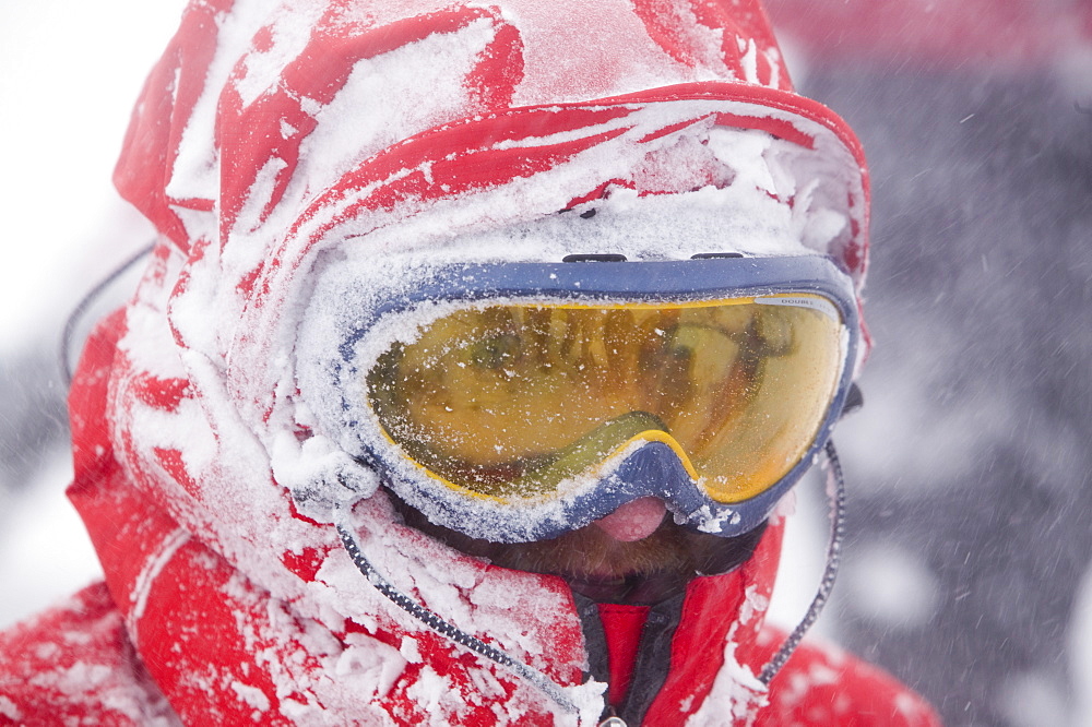 Mountaineers surviving atrocious conditions on Cairngorm, Scotland, United Kingdom, Europe