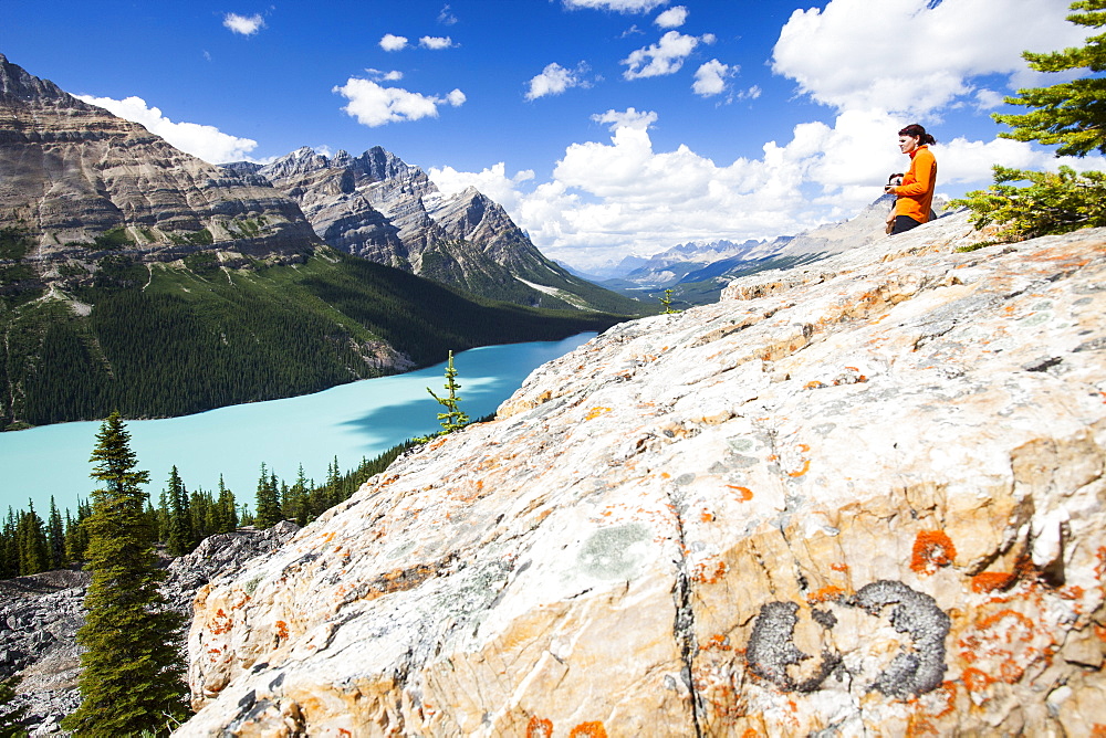 A Portuguese lady overlooking the stunningly beautiful Peyto Lake, Banff National Park, UNESCO World Heritage Site, Alberta, Canadian Rockies, Canada, North America