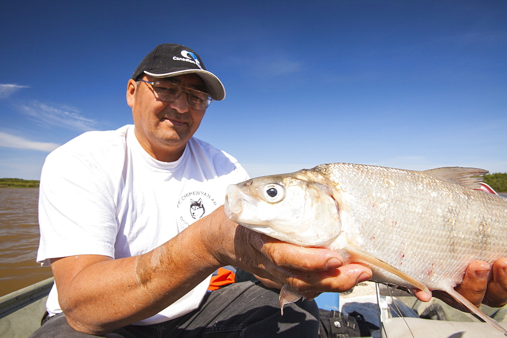 A fish caught in Lake Athabasca by Robert Grandjamber, who lives in Fort Chipewyan, a First Nation community downstream of the tar sands industry, Alberta, Canada, North America