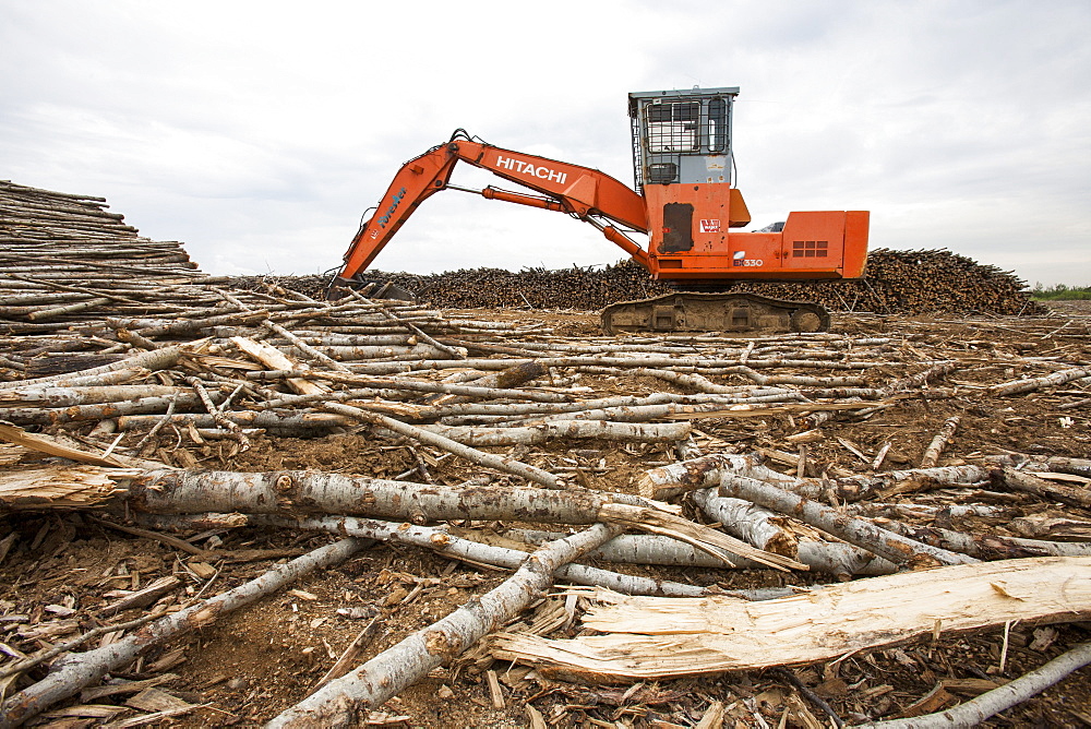 Boreal forest trees clear felled to make way for a new tar sands mine north of Fort McMurray, Alberta, Canada, North America