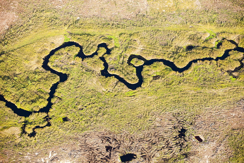 Boreal forest trees clear felled to make way for a new tar sands mine north of Fort McMurray, Alberta, Canada, North America