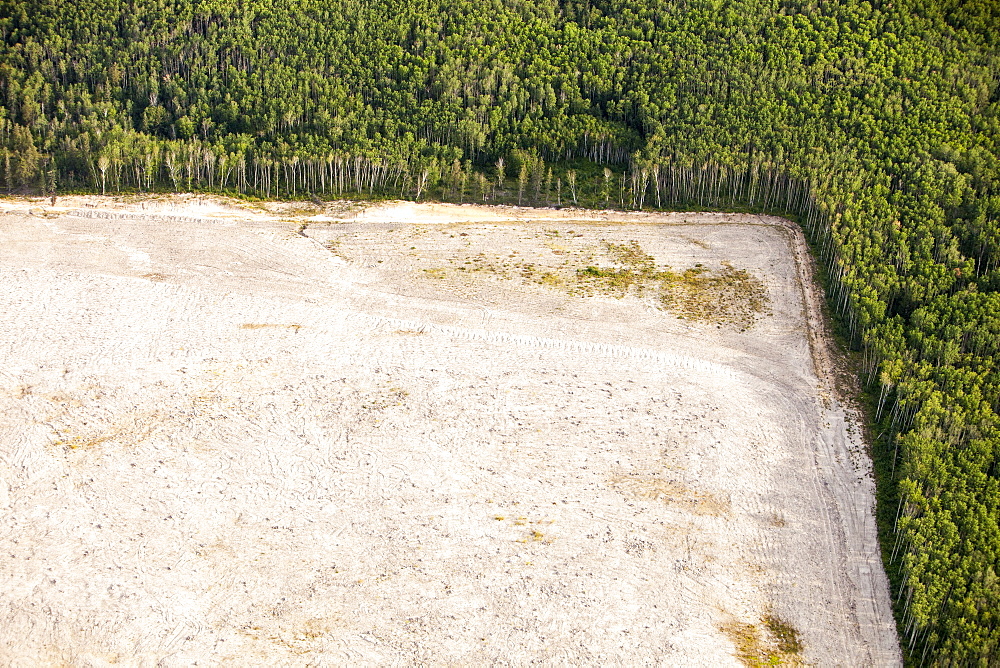 Boreal forest trees clear felled to make way for a new tar sands mine north of Fort McMurray, Alberta, Canada, North America