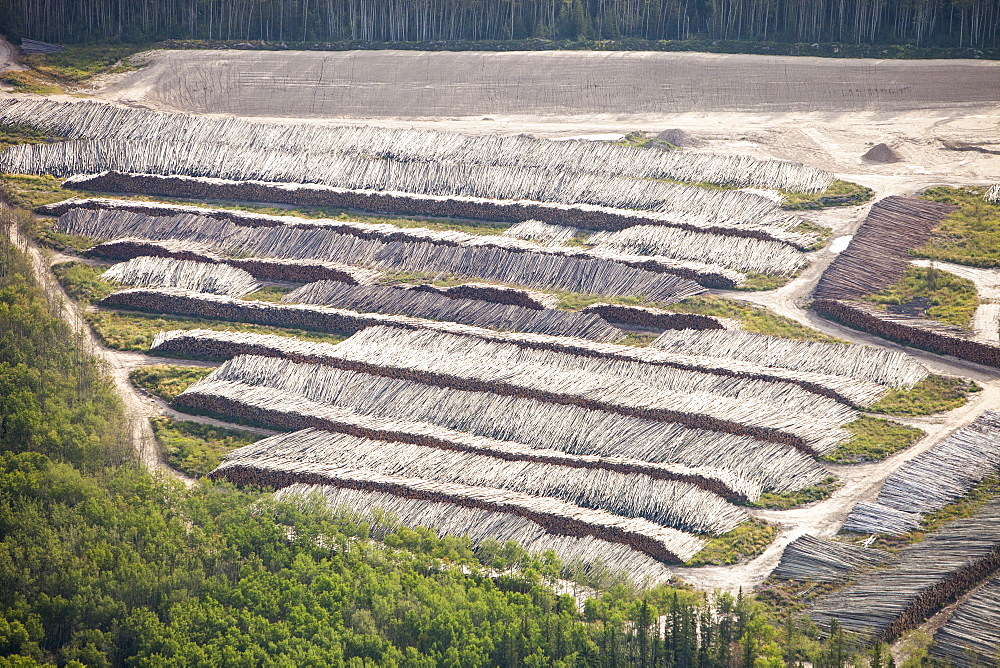 Boreal forest trees clear felled to make way for a new tar sands mine north of Fort McMurray, Alberta, Canada, North America